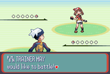 Pokemon Ruby (Loose)