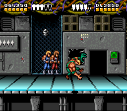 Battletoads/ Double Dragon