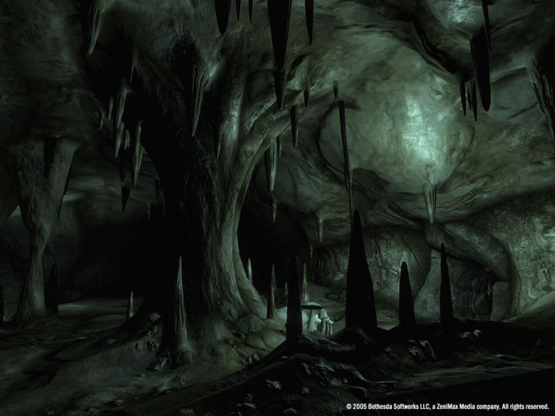 The Elder Scrolls IV: Oblivion [Game of the Year]