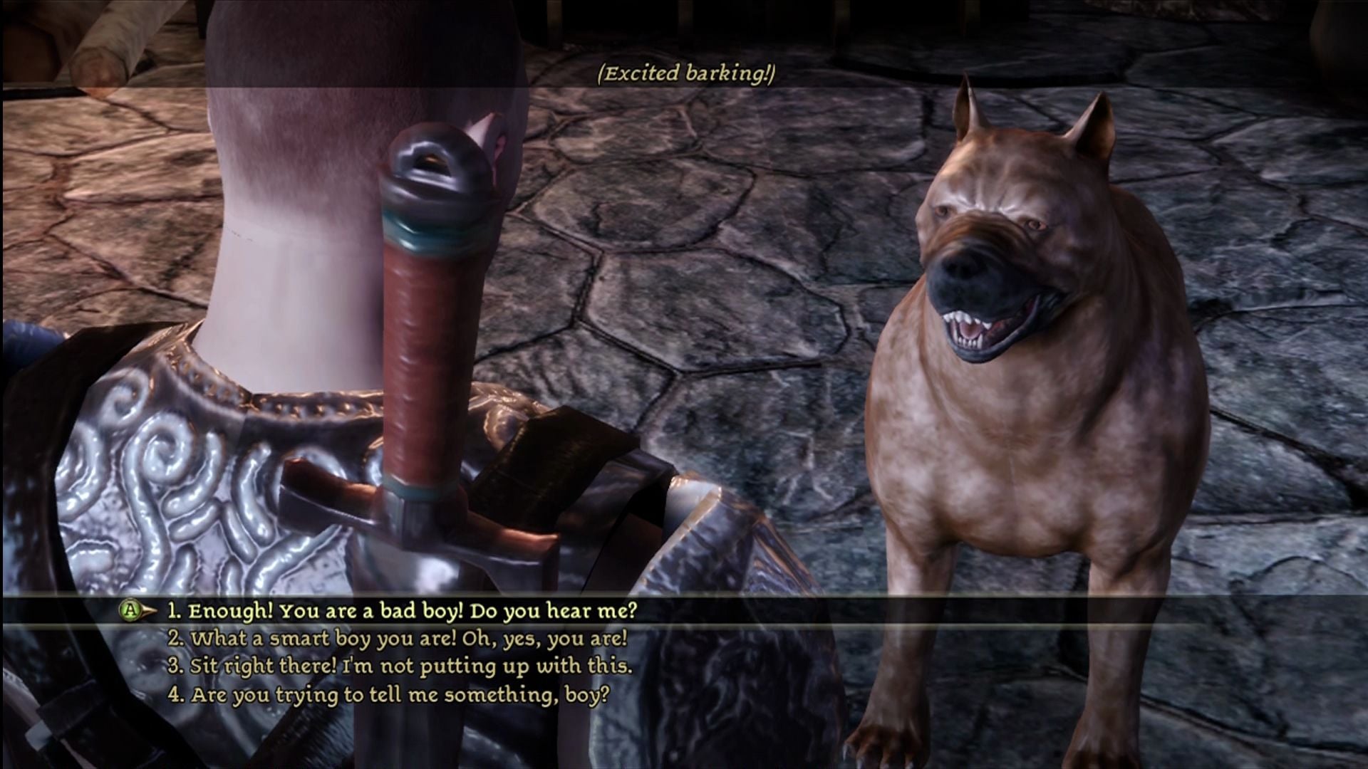 Dragon Age: Origins