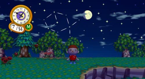 Animal Crossing City Folk