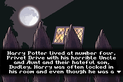 Harry Potter And The Chamber Of Secrets (Loose)