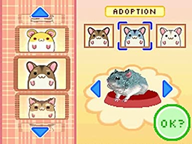 Hamsterz Life (Loose)