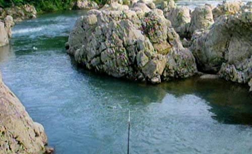 Reel Fishing: Angler's Dream