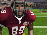 NFL Fever 2004