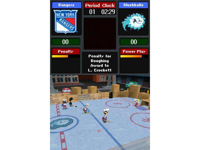 Backyard Hockey