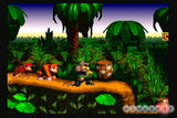 Donkey Kong Country