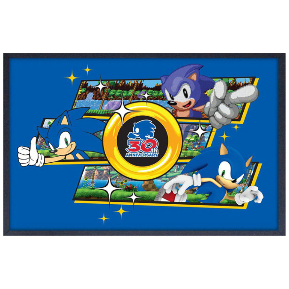 Sonic Collage 30th Anniversary Framed Print