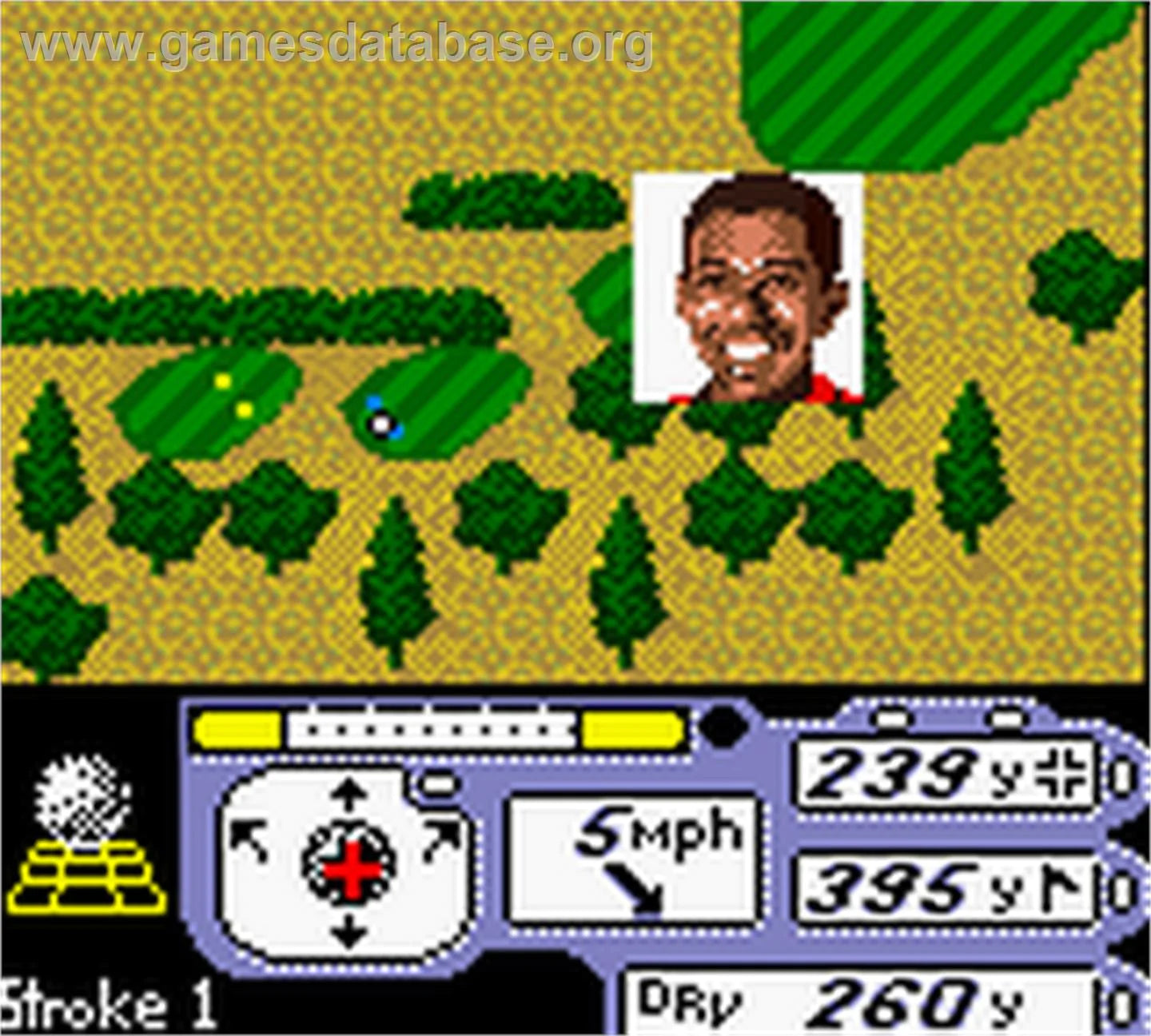 Tiger Woods PGA Tour 2000 (Loose)