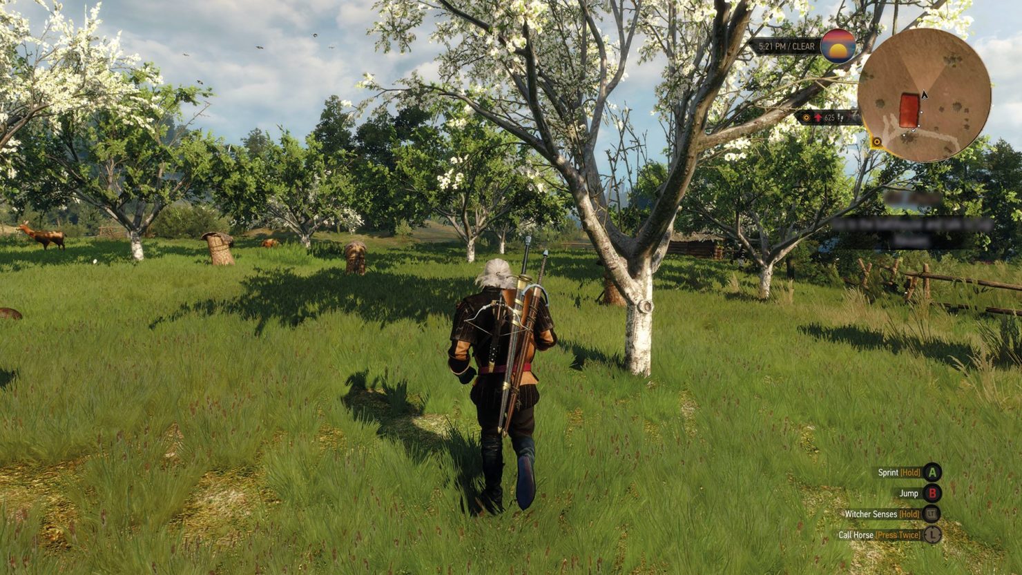 The Witcher Wild Hunt