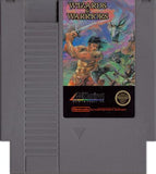 Wizards And Warriors