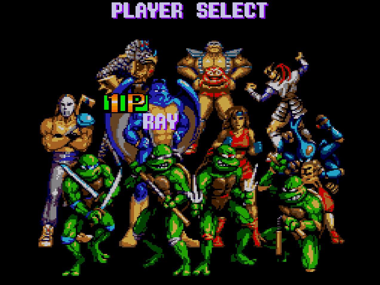 Teenage Mutant Ninja Turtles Tournament Fighters