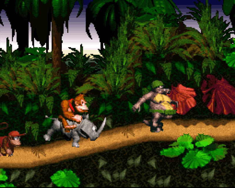 Donkey Kong Country