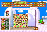 Yoshi's Cookie