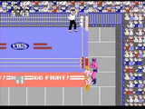 Pro Wrestling