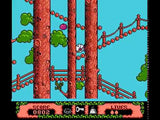 The Fantastic Adventures Of Dizzy