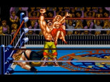 Saturday Night Slam Masters