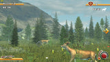 Deer Drive
