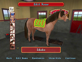 Let's Ride Silver Buckle Stables