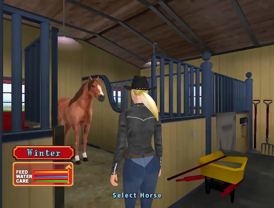 Let's Ride Silver Buckle Stables