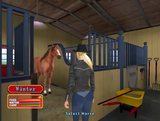 Let's Ride Silver Buckle Stables
