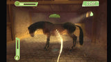 Horsez