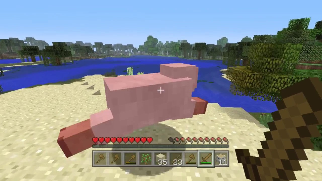 Minecraft Wii U Edition