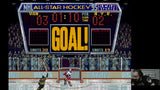 NHL All-Star Hockey 95
