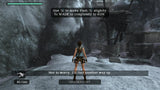 Tomb Raider Anniversary