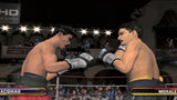 Fight Night Round 3