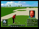 PGA Tour Golf 3