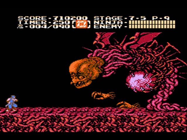 Ninja Gaiden II The Dark Sword Of Chaos