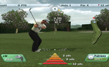Tiger Woods 2009