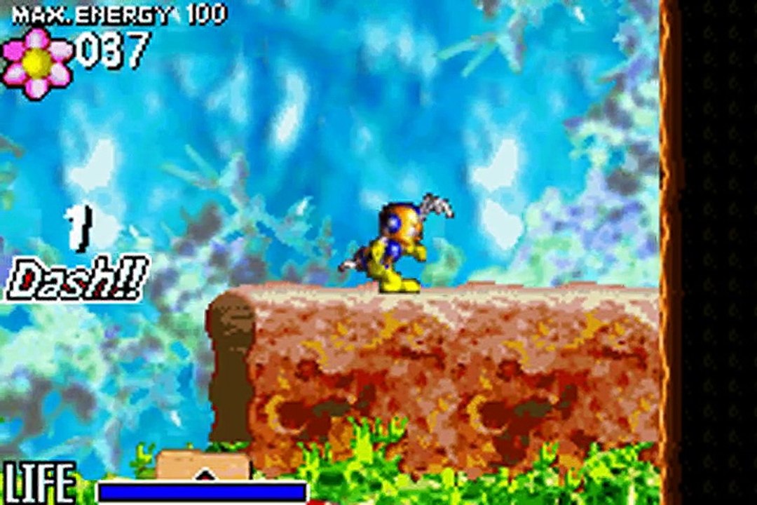 Pinobee